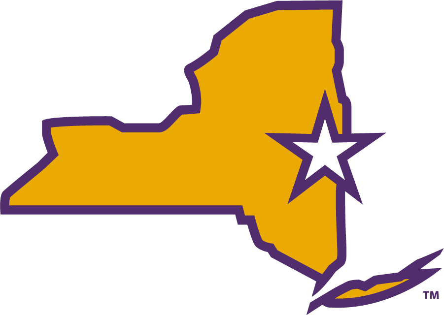 Albany Great Danes 2020-Pres Alternate Logo v4 iron on transfers for T-shirts